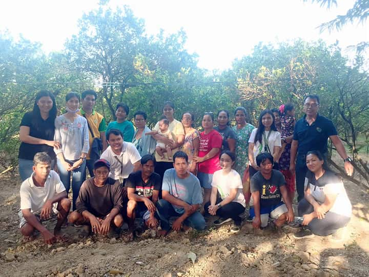 Calamansi Farmers